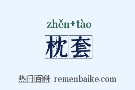 枕套是什么意思的图片